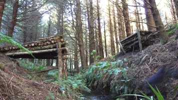 Free download earSHOTS video and edit with RedcoolMedia movie maker MovieStudio video editor online and AudioStudio audio editor onlin