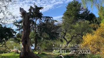 Free download Earth Day April 22, 2020 Celebrating 50 Years video and edit with RedcoolMedia movie maker MovieStudio video editor online and AudioStudio audio editor onlin