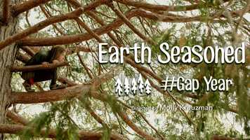 Free download Earth Seasoned #GapYear - Trailer video and edit with RedcoolMedia movie maker MovieStudio video editor online and AudioStudio audio editor onlin