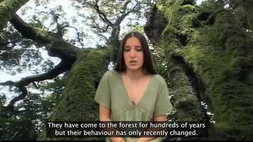 Free download Earth Therapy video and edit with RedcoolMedia movie maker MovieStudio video editor online and AudioStudio audio editor onlin