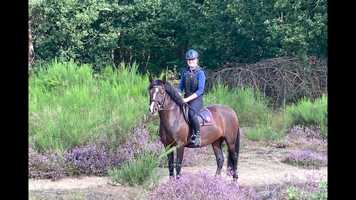 Free download Eastbrinks Vida Loca video and edit with RedcoolMedia movie maker MovieStudio video editor online and AudioStudio audio editor onlin