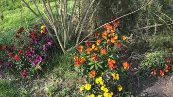 Free download Easter 2020 video and edit with RedcoolMedia movie maker MovieStudio video editor online and AudioStudio audio editor onlin