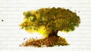 Free download Eastern Global Short Film Awards 2017 - English  Trailer video and edit with RedcoolMedia movie maker MovieStudio video editor online and AudioStudio audio editor onlin