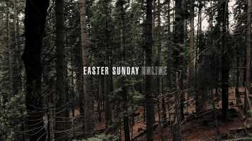 Free download Easter Promo Trailer video and edit with RedcoolMedia movie maker MovieStudio video editor online and AudioStudio audio editor onlin