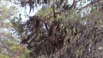 Free download Eat_sleep_Feed_repeat_TRAILER.mp4 video and edit with RedcoolMedia movie maker MovieStudio video editor online and AudioStudio audio editor onlin