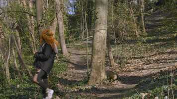 Free download Echapps du parc video and edit with RedcoolMedia movie maker MovieStudio video editor online and AudioStudio audio editor onlin