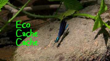 Free download Eco-cache-cache (film Moulibez 2020) video and edit with RedcoolMedia movie maker MovieStudio video editor online and AudioStudio audio editor onlin