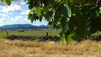 Free download ECOFICUS // CORPORATIVO  Ingls video and edit with RedcoolMedia movie maker MovieStudio video editor online and AudioStudio audio editor onlin