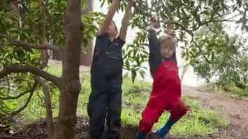 Free download ECOLN _ Promo Learning with Nature (1) video and edit with RedcoolMedia movie maker MovieStudio video editor online and AudioStudio audio editor onlin