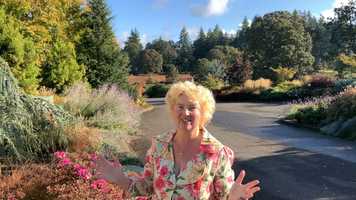 Free download Ecoregion Intro video and edit with RedcoolMedia movie maker MovieStudio video editor online and AudioStudio audio editor onlin