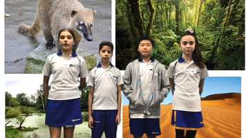 Free download Ecosystems Plants and Animals Roberta Montalvo, Sofia Treviño, Yoochang Jwa, Manuel del Villar video and edit with RedcoolMedia movie maker MovieStudio video editor online and AudioStudio audio editor onlin