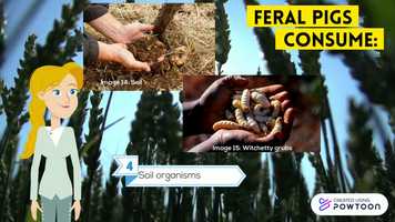 Free download EDC175 A2 video video and edit with RedcoolMedia movie maker MovieStudio video editor online and AudioStudio audio editor onlin