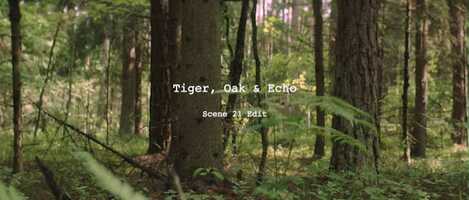 Free download Edit 4, Alex Pierson video and edit with RedcoolMedia movie maker MovieStudio video editor online and AudioStudio audio editor onlin