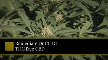 Free download EDU 3 CBD athletes video and edit with RedcoolMedia movie maker MovieStudio video editor online and AudioStudio audio editor onlin