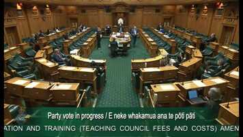 Free download Education and Training (Teaching Council Fees and Costs) Amendment Bill - First Reading - Video 14 video and edit with RedcoolMedia movie maker MovieStudio video editor online and AudioStudio audio editor onlin