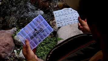 Free download Education Centered Packaging video and edit with RedcoolMedia movie maker MovieStudio video editor online and AudioStudio audio editor onlin