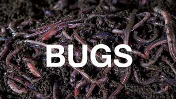 Free download Education Training Trailer video and edit with RedcoolMedia movie maker MovieStudio video editor online and AudioStudio audio editor onlin