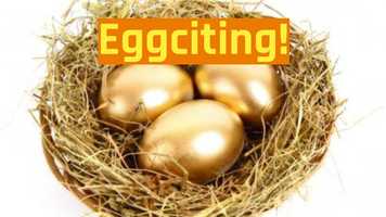 Free download Eggsalent! Fun! LOOK! Build Your Nest Egg Part Time Or Full Income! - video and edit with RedcoolMedia movie maker MovieStudio video editor online and AudioStudio audio editor onlin