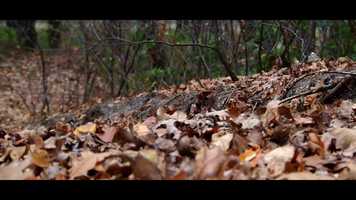 Free download EK Cross Tilburg 2018 Commercial video and edit with RedcoolMedia movie maker MovieStudio video editor online and AudioStudio audio editor onlin