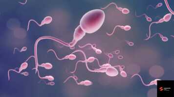 Free download ELA Pill 3D Animation || How ELA works || EMD Studio Copyright video || || 3D CGI Animation || Medical Animation video and edit with RedcoolMedia movie maker MovieStudio video editor online and AudioStudio audio editor onlin