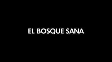 Free download El Bosque Sana (Trailer Oficial 2021) video and edit with RedcoolMedia movie maker MovieStudio video editor online and AudioStudio audio editor onlin