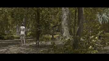 Free download El color del Jacarand - Trailer - Documental video and edit with RedcoolMedia movie maker MovieStudio video editor online and AudioStudio audio editor onlin