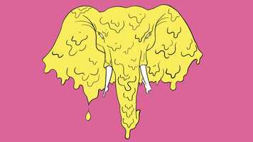 Free download Elefante gosmento - Animaes de texturas em animais video and edit with RedcoolMedia movie maker MovieStudio video editor online and AudioStudio audio editor onlin