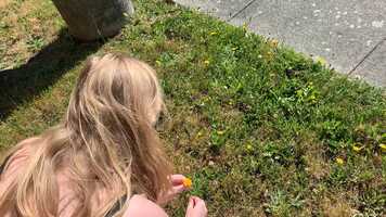 Free download Elements short film.mov video and edit with RedcoolMedia movie maker MovieStudio video editor online and AudioStudio audio editor onlin