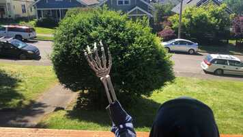 Free download Elements Short -HS video and edit with RedcoolMedia movie maker MovieStudio video editor online and AudioStudio audio editor onlin