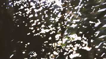 Free download Elena Setin She Was So Fair Official Music Video video and edit with RedcoolMedia movie maker MovieStudio video editor online and AudioStudio audio editor onlin