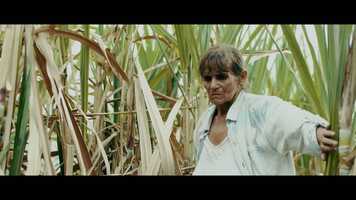 Free download Elena (Trailer) video and edit with RedcoolMedia movie maker MovieStudio video editor online and AudioStudio audio editor onlin