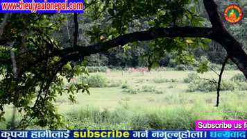 Free download Elephant Attacks on Public bus at Chitwan National Park video and edit with RedcoolMedia movie maker MovieStudio video editor online and AudioStudio audio editor onlin