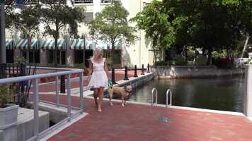 Free download Elephant in a Porcelain Store Music Video by Obscurley video and edit with RedcoolMedia movie maker MovieStudio video editor online and AudioStudio audio editor onlin