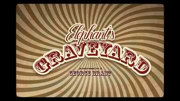 Free download Elephants Graveyard - Trailer video and edit with RedcoolMedia movie maker MovieStudio video editor online and AudioStudio audio editor onlin