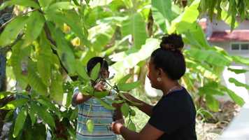 Free download Eleyi Fuvahmulah - Visual Notes From Raalhu Edhuru Raajje Tour video and edit with RedcoolMedia movie maker MovieStudio video editor online and AudioStudio audio editor onlin