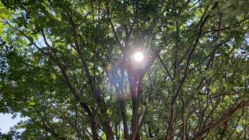 Free download Eli and Sarah Bailas Wedding Film- Opening.mov video and edit with RedcoolMedia movie maker MovieStudio video editor online and AudioStudio audio editor onlin