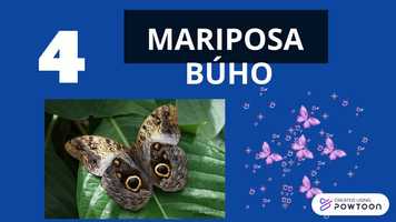 Free download EL IMPOSTOR video and edit with RedcoolMedia movie maker MovieStudio video editor online and AudioStudio audio editor onlin