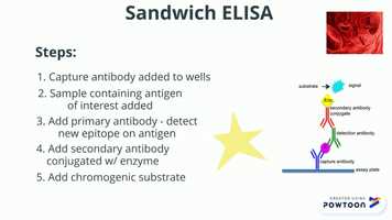 Free download ELISA Pre-Lab (10.a) video and edit with RedcoolMedia movie maker MovieStudio video editor online and AudioStudio audio editor onlin