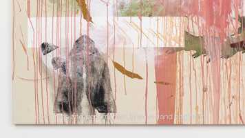 Free download Elizabeth Neal | Rapid Buckling of the Loud Song video and edit with RedcoolMedia movie maker MovieStudio video editor online and AudioStudio audio editor onlin