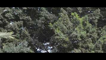 Free download EL NOTA (Music Video) video and edit with RedcoolMedia movie maker MovieStudio video editor online and AudioStudio audio editor onlin