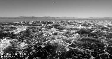 Free download El Pescador Trailer-HD 1080p video and edit with RedcoolMedia movie maker MovieStudio video editor online and AudioStudio audio editor onlin