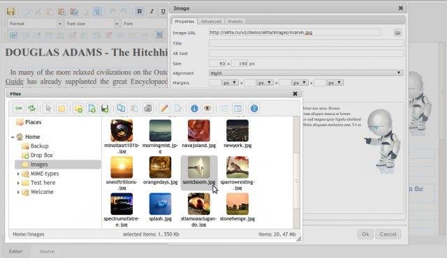 Download web tool or web app elRTE