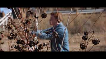 Free download Embrasse-moi (quand tu voudras) video and edit with RedcoolMedia movie maker MovieStudio video editor online and AudioStudio audio editor onlin