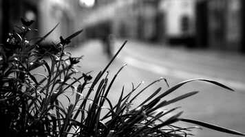 Free download Emergence - 1 min.mp4 video and edit with RedcoolMedia movie maker MovieStudio video editor online and AudioStudio audio editor onlin