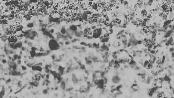 Free download Emission Test Film 01 video and edit with RedcoolMedia movie maker MovieStudio video editor online and AudioStudio audio editor onlin