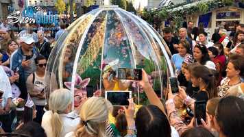 Free download Enchanted Flower Globe 2020 edition video and edit with RedcoolMedia movie maker MovieStudio video editor online and AudioStudio audio editor onlin