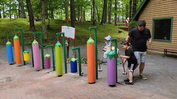 Free download Enchanted Forest Music video and edit with RedcoolMedia movie maker MovieStudio video editor online and AudioStudio audio editor onlin