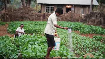 Free download Encounter Film V3 video and edit with RedcoolMedia movie maker MovieStudio video editor online and AudioStudio audio editor onlin