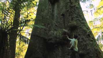 Free download Encountering Tasmania: Defendant 5 - Behind the Scenes video and edit with RedcoolMedia movie maker MovieStudio video editor online and AudioStudio audio editor onlin