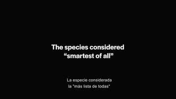 Free download ENDGAME 2050 Trailer Castellano video and edit with RedcoolMedia movie maker MovieStudio video editor online and AudioStudio audio editor onlin